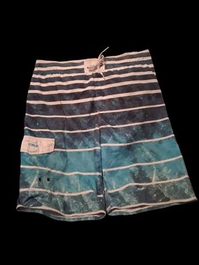 ROULE men's blue striped swim board shorts